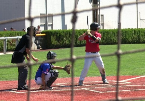 What is the Policy on Pets at the Venue of the Baseball Tournament in Lubbock, TX?